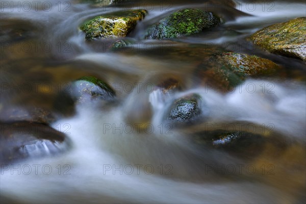 Mountain stream in the Bavarian Forest National Park, close-up with snow, ice, flow. Bavaria, Germany, Europe