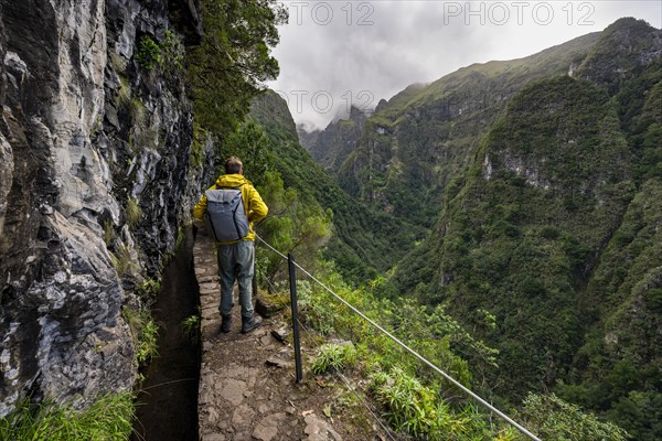 Hikers on a narrow path along a levada, view of forested mountains and gorges, Levada do Caldeirao Verde, Parque Florestal das Queimadas, Madeira, Portugal, Europe