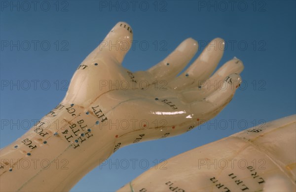 Acupuncture, acupuncture points of the human body, shown on a practice dummy for alternative practitioners