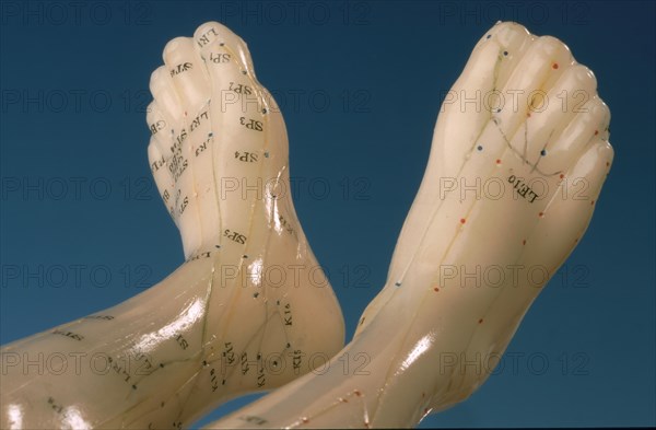 Acupuncture, acupuncture points of the human body, shown on a practice dummy for alternative practitioners