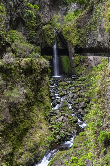 Levada do Moinho, Waterfall in a gorge, Ponta do Sol, Madeira, Portugal, Europe