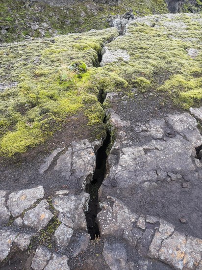 Fissure caused by volcanic eruption, moss-covered volcanic landscape, Tjarnargigur, Laki crater landscape, highlands, South Iceland, Suourland, Iceland, Europe
