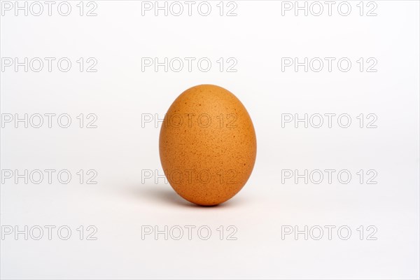 Egg brown, isolated on white background. Studio