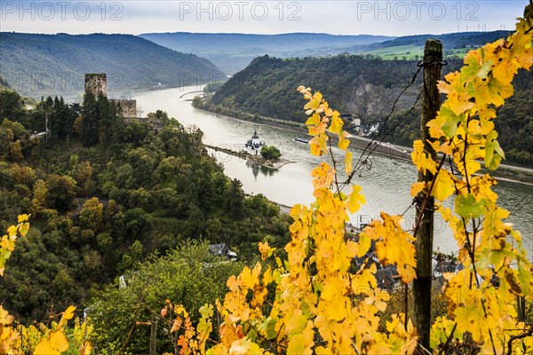 Gutenfels Castle and Pfalzgrafenstein Castle, Kaub, Upper Middle Rhine Valley, UNESCO World Heritage Site, Rhineland-Palatinate, Germany, Europe