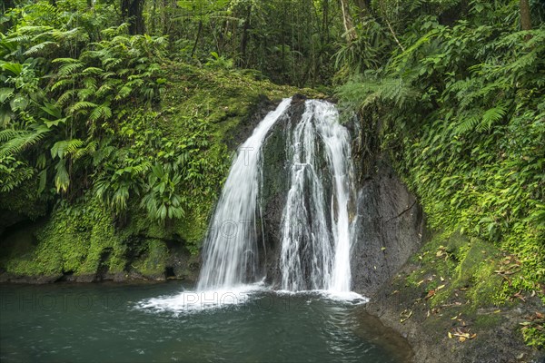 Cascade aux Ecrevisses waterfall in Guadeloupe National Park, Basse-Terre, Guadeloupe, France, North America