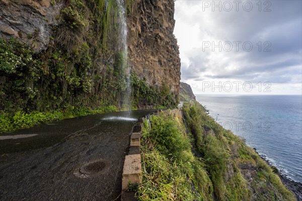 Cascata dos Anjos, waterfall over a road on the coast, Madeira, Portugal, Europe