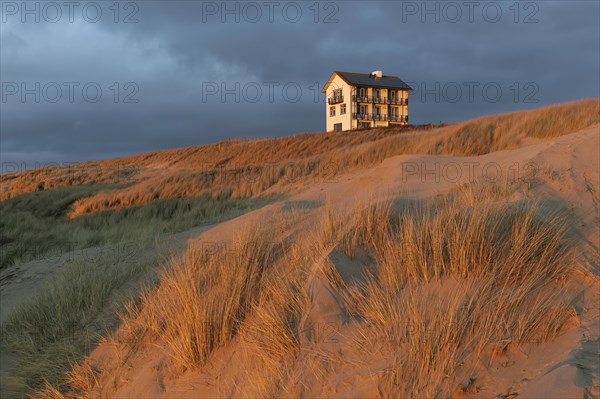 Single house on the dune in the evening light, Dutch North Sea coast, Bergen aan Zee, province North Holland, Netherlands