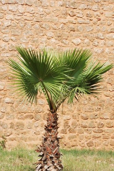 Wall surrounding the Medina at Rabat