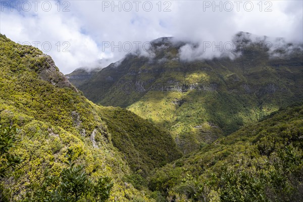 Green forest and hills of Rabacal, Paul da Serra, Madeira, Portugal, Europe