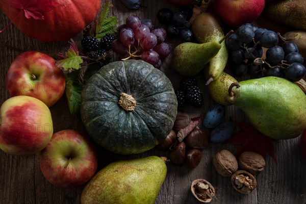 Fruit, autumn, pumpkin, grape, pear, apple, plum, walnut, chestnut, sweet, tasty, blackberry, healthy, fit