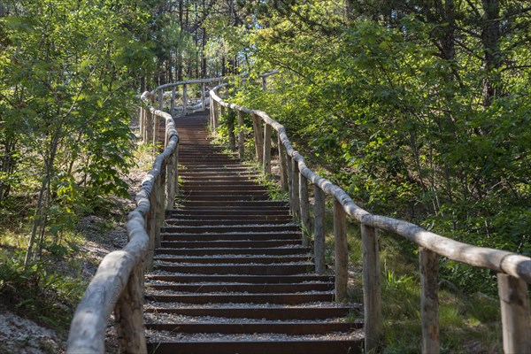 Dune steps on the touring path in the Schoorlser Duenen nature reserve, Schoorl, North Holland, Netherlands