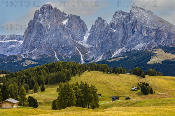 Autumnal alpine meadows and alpine huts on the Alpe di Siusi, behind the snow-covered peaks of the Sassolungo group, Val Gardena, Dolomites, South Tyrol, Italy, Europe