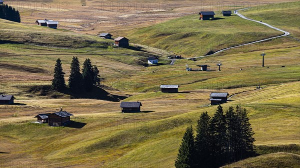 Autumnal alpine meadows and huts on the Alpe di Siusi, Val Gardena, Dolomites, South Tyrol, Italy, Europe