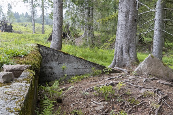 Remains of the ruins of Adolf Hitlers Tannenberg Fuehrer headquarters on Kniebis, the site was blown up after the war, Black Forest, Baiersbronn, Baden-Wuerttemberg, Germany, Europe