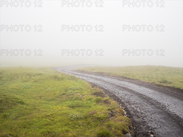 Rough track in the fog, moss-covered volcanic landscape, Laki Crater or Lakagigar, Highlands, South Iceland, Suourland, Iceland, Europe