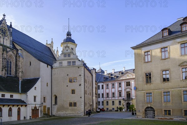 Playing Card Museum, Skat Museum, Inner Courtyard, Altenburg Castle, Altenburg, Thuringia, Germany, Europe