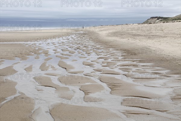 Coastal Landscape, Meadow Beach, Cape Cod, Atlantic Sea, Massachusetts, USA, North America