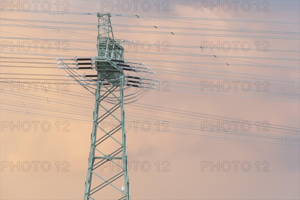 Power pole at Wolmirstedt substation, Saxony-Anhalt, Germany, Europe