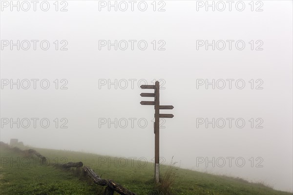 Signposts for hiking trails on mountain peak Koeterberg in fog, dreary autumn weather, Luegde, Weserbergland, North Rhine-Westphalia, Germany, Europe