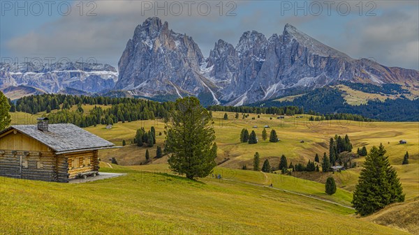 Autumnal meadows and alpine huts on the Alpe di Siusi, behind the snow-covered peaks of the Sassolungo group, Val Gardena, Dolomites, South Tyrol, Italy, Europe