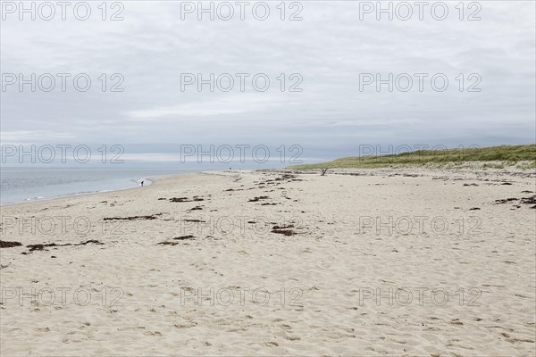 Coastal Landscape, Meadow Beach, Cape Cod, Atlantic Sea, Massachusetts, USA, North America