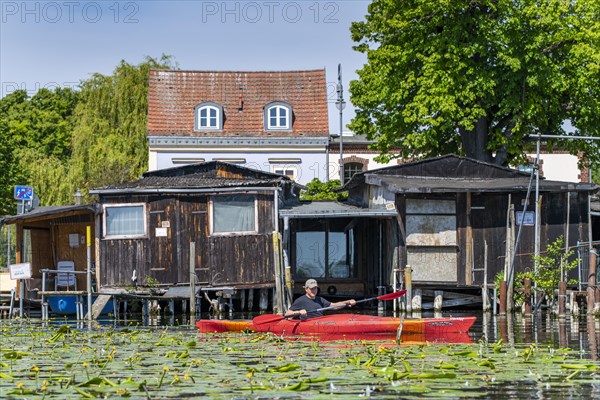 Paddlers in a kayak on the Havel, behind boathouses, Brandenburg an der Havel, Brandenburg, Germany, Europe