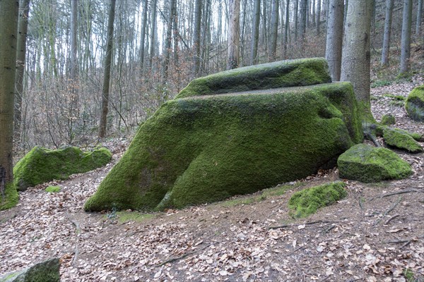 Moss-covered stones in the Mausbach valley, Heidelberg, Baden-Wuerttemberg, Germany, Europe