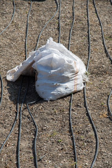 Irrigation system using sprinklers in a cultivated field for Watering
