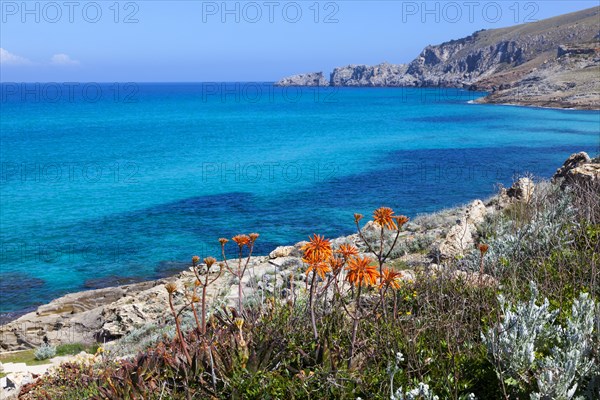 Coastal landscape at Cala Mesquida, Majorca, Balearic Islands, Spain, Europe