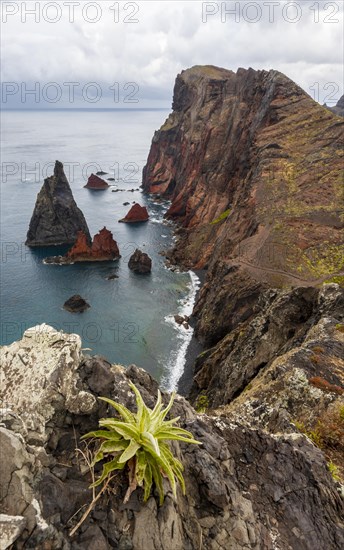 Coastal landscape, cliffs and sea, Miradouro da Ponta do Rosto, rugged coast with rock formations, Cape Ponta de Sao Lourenco, Madeira, Portugal, Europe