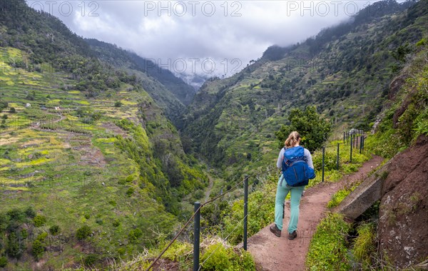 Hiker on Levada do Moinho, Ponta do Sol, Madeira, Portugal, Europe