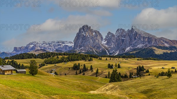 Autumnal meadows and alpine hut on the Alpe di Siusi, behind the snow-covered peaks of the Sassolungo group, Val Gardena, Dolomites, South Tyrol, Italy, Europe