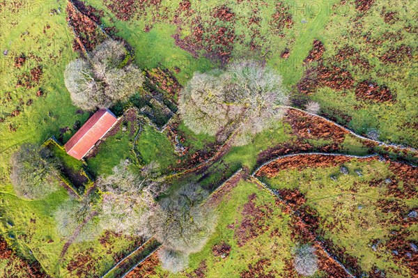 Top Down over Emsworthy Mire from a drone, Haytor Rocks, Dartmoor National Park, Devon, England, UK