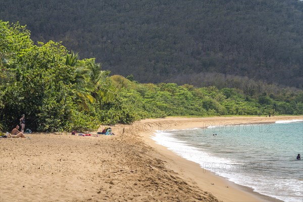 At the beach Plage de Grande Anse near Deshaies in the north of Basse-Terre, Guadeloupe, France, North America