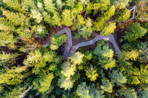 Aerial view of a forest path from above, Schoemberg, Black Forest, Germany, Europe