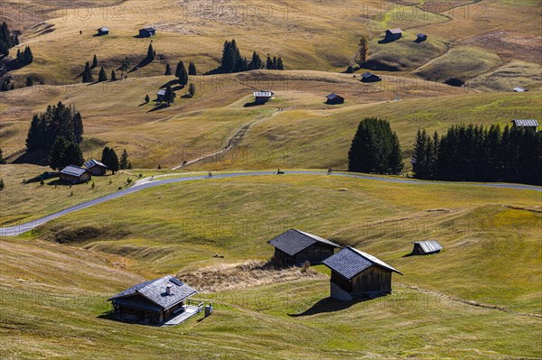 Autumnal alpine meadows and huts on the Alpe di Siusi, Val Gardena, Dolomites, South Tyrol, Italy, Europe