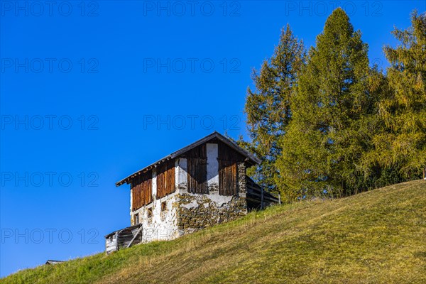 Abandoned alpine hut on the Alpe di Siusi, Val Gardena, South Tyrol, Italy, Europe