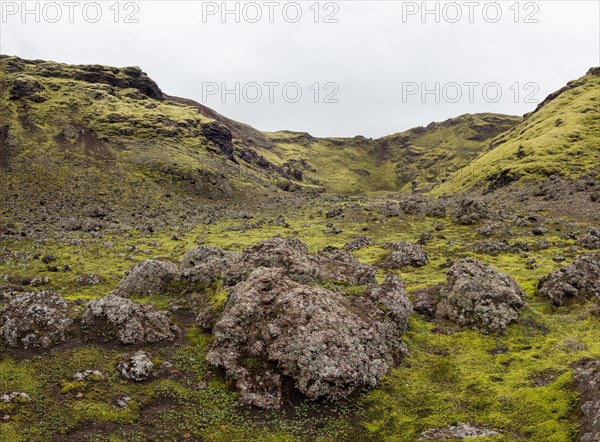 Tjarnargigur crater landscape, moss-covered volcanic landscape, Laki crater landscape, highlands, South Iceland, Suourland, Iceland, Europe