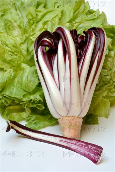 Radicchio in front of endive, Cicorino rosso Tardivo