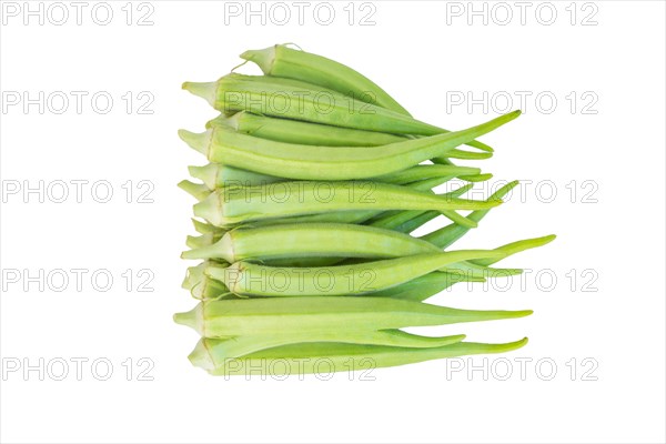 Fresh green okra