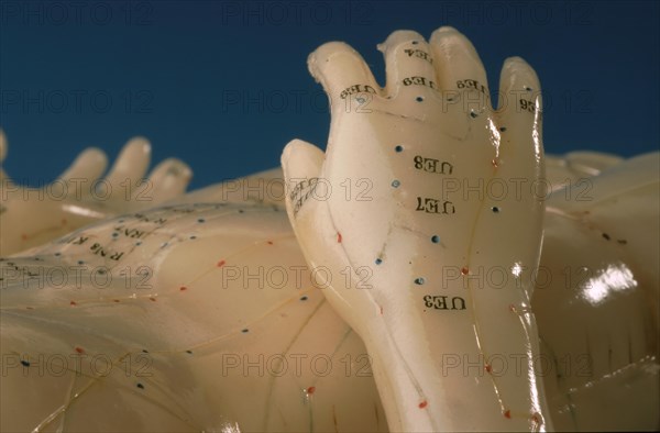 Acupuncture, acupuncture points of the human body, shown on a practice dummy for alternative practitioners