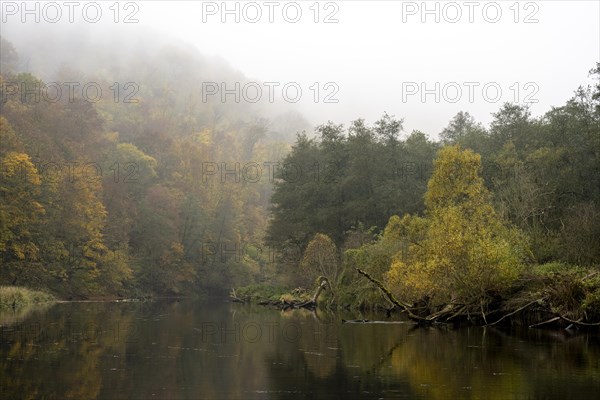 Foggy atmosphere, River Thaya in autumn, National Park Thayatal, Hardegg, Lower Austria, Austria, Europe