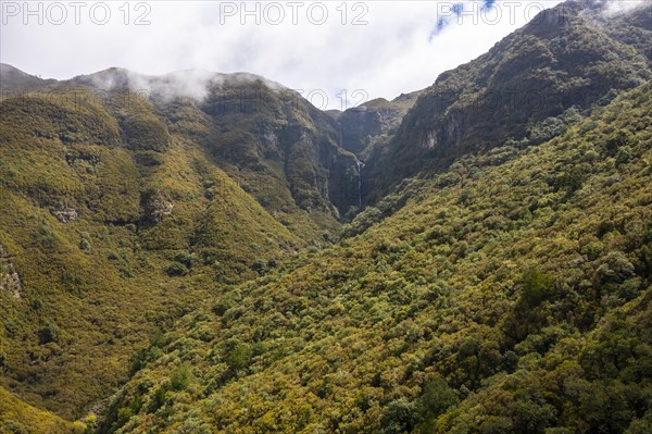 Aerial view, Green forest and mountains of Rabacal, Paul da Serra, Madeira, Portugal, Europe