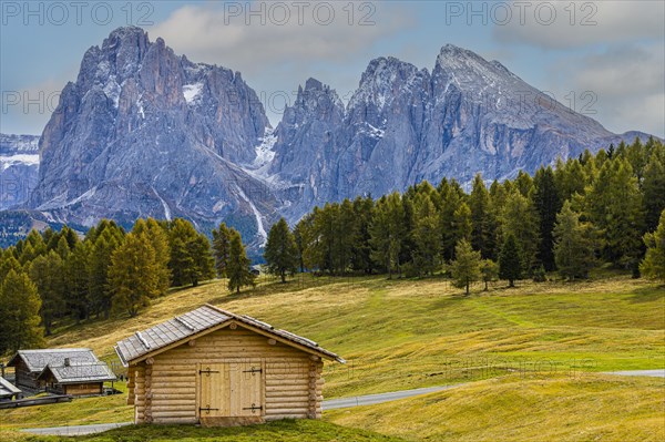 Alpine huts and autumnal alpine meadows on the Alpe di Siusi, in the background the snow-covered peaks of the Sassolungo group, Val Gardena, Dolomites, South Tyrol, Italy, Europe
