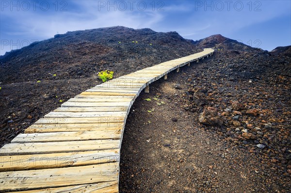 Boardwalk at Faro de Teno, Buenovista, Tenerife, Spain, Europe