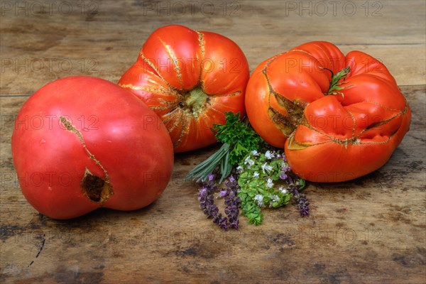 Ancient tomatoes variety and aromatic herbs on old wooden background in a kitchen.Alsace, France, Europe