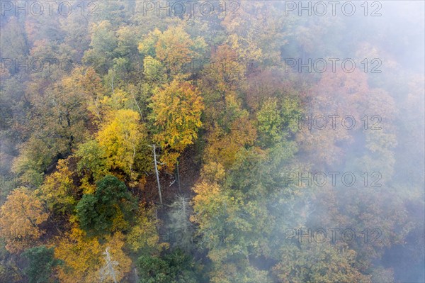 Foggy atmosphere, autumnal forest, aerial view, Thayatal, Hardegg, Lower Austria, Austria, Europe