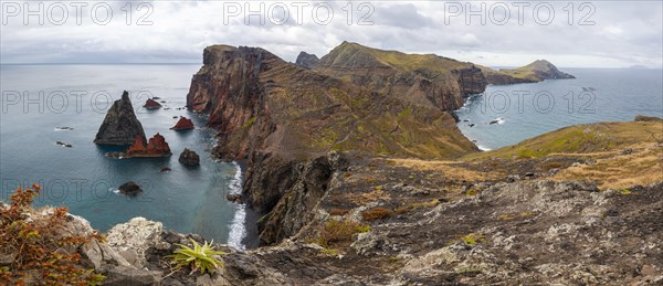 Coastal landscape, cliffs and sea, Miradouro da Ponta do Rosto, rugged coast with rock formations, Cape Ponta de Sao Lourenco, Madeira, Portugal, Europe