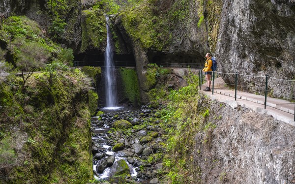 Levada do Moinho, Waterfall in a gorge, Ponta do Sol, Madeira, Portugal, Europe