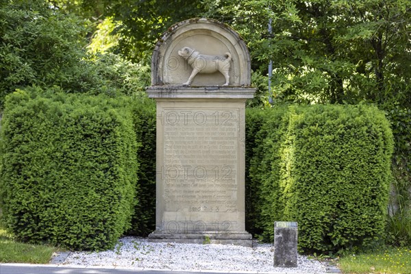 Pug monument erected in the park of the Centre for Psychiatry in front of Winnental Castle. A pug carved in stone commemorates the dog of Duke Karl Alexander, Winnenden, Baden-Wuerttemberg, Germany, Europe